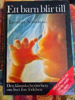 Ett barn blir till : en bildskildring av barnets tillblivelse f&ouml;re f&ouml;delsen och praktiska r&aring;d n&auml;r man v&auml;ntar barn