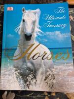 The ultimate Treasury Horseshoe [ENGLISH] 