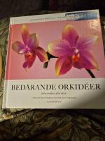 Bed&aring;rande orkid&eacute;er