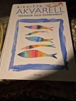 Akvarell : tekniker och experiment