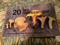 20 bra matsvampar