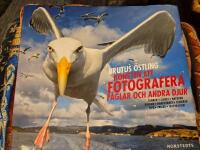 Konsten att fotografera f&aring;glar och andra djur