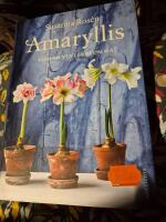 Amaryllis : &auml;lskad vinterblomma!