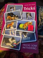 Tricks som aktivering