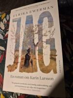 Jag - En roman om Karin Larsson
