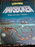 Lysande havsboken : boken som lyser i m&ouml;rker!