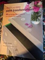 Quick and easy paint Transformation [ENGLISH] 