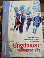 Ungdomar i vardagens v&auml;v - En sociologisk studie av ungdomars gruppbildande i en storstadsf&ouml;rort