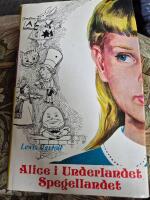 Alice i Underlandet ; Spegellandet