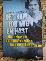 Det kom f&ouml;r mig i en hast : historien om barnam&ouml;rderskan Ingeborg Andersson