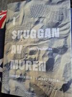 I skuggan av muren : Israel / Palestina