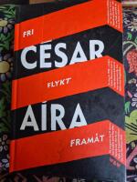 Fri flykt fram&aring;t