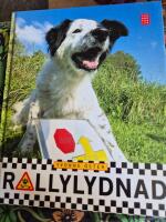 Rallylydnad