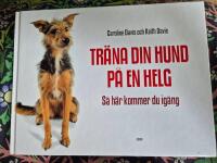 Tr&auml;na din hund p&aring; en helg - s&aring; h&auml;r kommer du ig&aring;ng