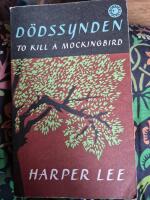 D&ouml;dssynden - (to kill a mockingbird)