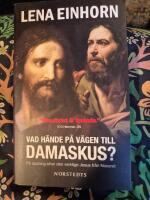 Vad h&auml;nde p&aring; v&auml;gen till Damaskus? : P&aring; spaning efter den verklige Jesus fr&aring;n Nasaret