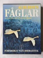 Audubon's f&aring;glar