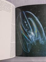 Audubon's havens djur