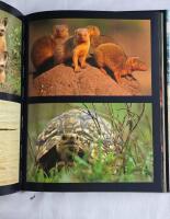 Serengeti : en av Afrikas sista vildmarker