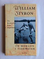 En morgon i Tidewater : tre ber&auml;ttelser fr&aring;n ungdomen