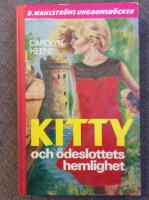 Kitty och &ouml;deslottets hemlighet