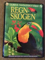 Regnskogen