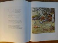 Ocke, Nutta och Pillerill : bilderbok