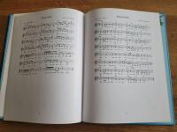 Pippi L&aring;ngstrumps visor