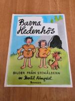 Barna Hedenh&ouml;s: bilder fr&aring;n sten&aring;ldern