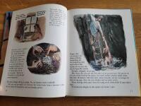 Bland sj&ouml;r&ouml;vare och skatts&ouml;kare