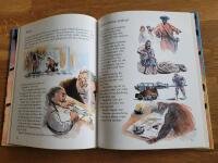 Bland sj&ouml;r&ouml;vare och skatts&ouml;kare