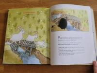 Din f&ouml;rsta bok : ber&auml;ttelser, rim och s&aring;nger f&ouml;r de minsta