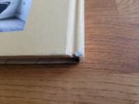 Josabeth Sj&ouml;bergs Stockholm : En unik bildskatt fr&aring;n 1800-talet