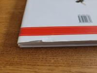 Blomessenser: En illustrerad guide