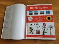 Blomessenser: En illustrerad guide