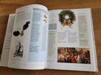 Blomessenser: En illustrerad guide