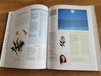 Blomessenser: En illustrerad guide