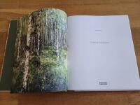 Trollet &auml;r inte hemma