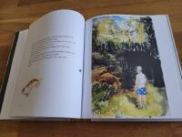 Trollet &auml;r inte hemma