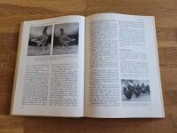 V&aring;ra fj&auml;derf&auml;n: L&auml;robok i fj&auml;derf&auml;sk&ouml;tsel