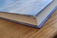 Betongens yta : en handbok f&ouml;r arkitekter och andra