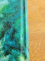 Ronja R&ouml;vardotter