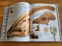 Fakta i n&auml;rbild: Dinosaurier 