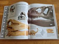 Fakta i n&auml;rbild: Dinosaurier 