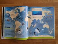 Vad finns var i v&auml;rlden?