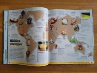 Atlas &ouml;ver v&aring;r konstiga v&auml;rld