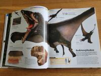 Stora boken om dinosaurier