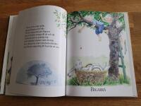 Majas lilla gr&ouml;na