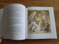 Sommar i Stora Skogen