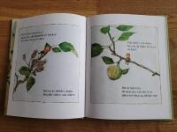 Lilla &auml;ppelboken